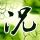 jam gacor olympus [Artikel yang direkomendasikan] ◆Direktur Tsuyoshi Shinjo, kata pahit untuk Kiyomiya yang enggan menurunkan berat badan ◆Girdle only